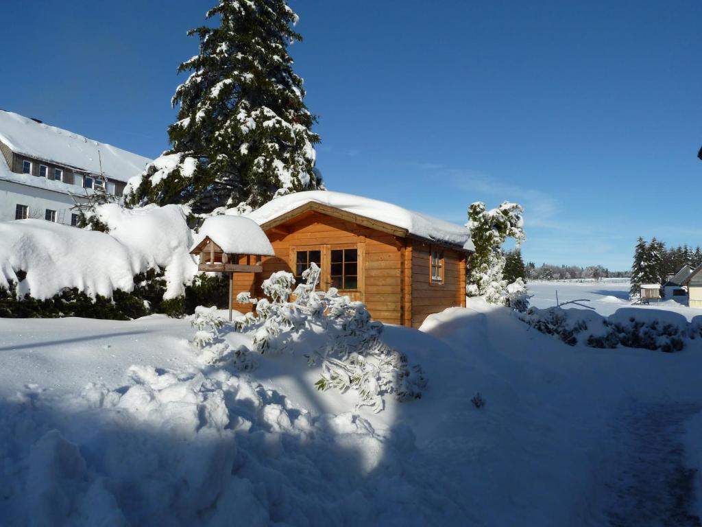 Apartment Jungst Winterberg Esterno foto